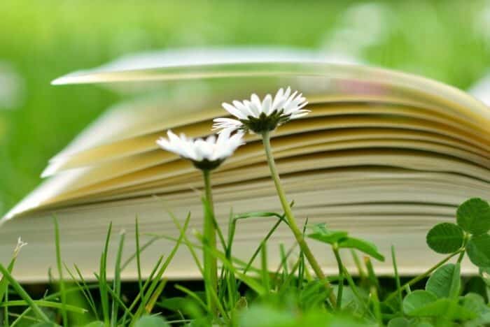 Livre bien être